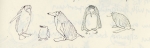11_penguins.jpg