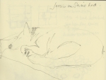 17a_jessie_01.jpg