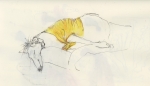 26_yellowtshirt.jpg