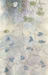 branches.jpg