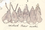 bunnies.jpg