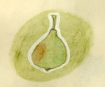 pear.jpg