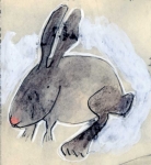 rabbit.jpg