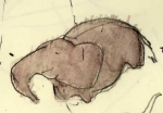sketch_05.jpg