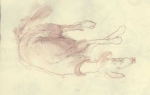 sketch_17.jpg