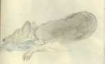 sketch_19.jpg